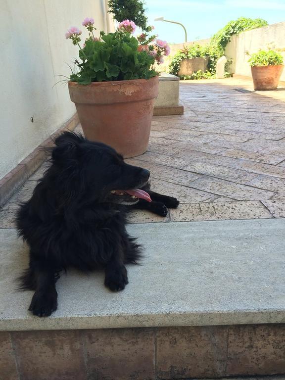Vietri Le Terrazze Di Cristina Bed & Breakfast エクステリア 写真