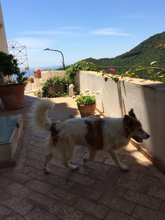 Vietri Le Terrazze Di Cristina Bed & Breakfast エクステリア 写真