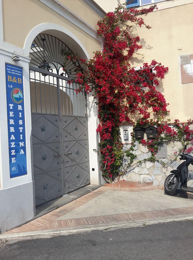 Vietri Le Terrazze Di Cristina Bed & Breakfast エクステリア 写真