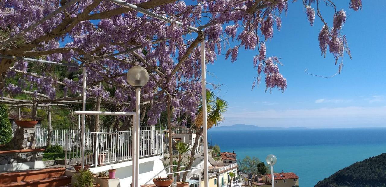 Vietri Le Terrazze Di Cristina Bed & Breakfast エクステリア 写真
