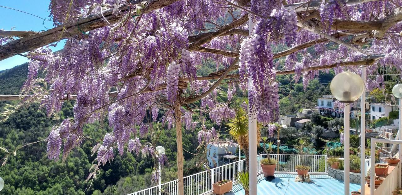 Vietri Le Terrazze Di Cristina Bed & Breakfast エクステリア 写真