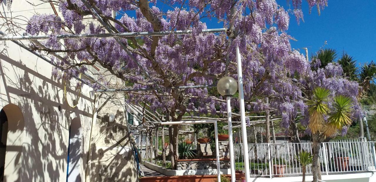 Vietri Le Terrazze Di Cristina Bed & Breakfast エクステリア 写真